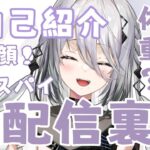 【雑談】あらためて自己紹介と初配信の裏話！【にじさんじ / ソフィア・ヴァレンタイン】