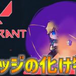 【VALORANT】こんな時間からフルパヴァロコンペ！！【にじさんじ/エビオ】