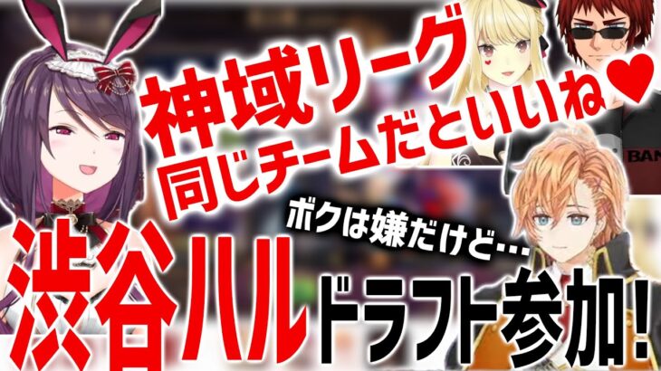 【神域リーグ2023情報】渋谷ハル神域リーグ2023ドラフト参戦！同じチームになりたい郡道美玲と なりたくない渋谷ハルと 意見を言えて褒めるルイス・キャミーと天開司