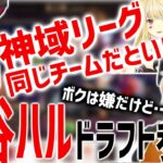 【神域リーグ2023情報】渋谷ハル神域リーグ2023ドラフト参戦！同じチームになりたい郡道美玲と なりたくない渋谷ハルと 意見を言えて褒めるルイス・キャミーと天開司