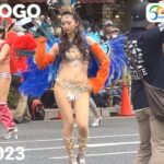 【神戸まつり】サンバ2023 美人ダンサー Escola De Samba KOBECCO, 神戸サンバチーム