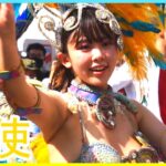 4K 美少女 大学生 サンバカーニバル 可愛い ウニアン 美人 水色と黄色の羽 民家園通り 2022 Japanese Samba