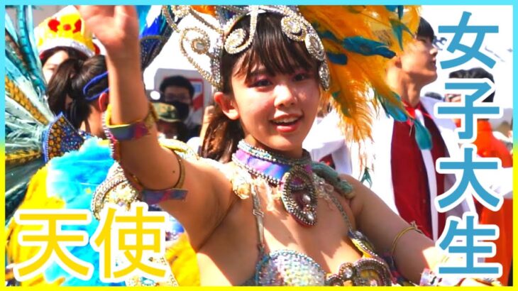 4K 美少女 大学生 サンバカーニバル 可愛い ウニアン 美人 水色と黄色の羽 民家園通り 2022 Japanese Samba