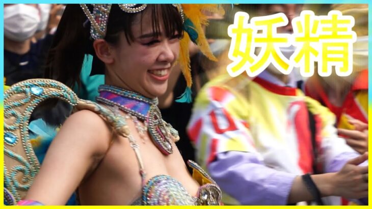 4K 超かわいい 大学生 サンバ 美人 ウニアン 民家園通り 2022 Japanese Samba