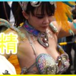 4K 美少女 女子大生 サンバ ウニアン 大学生 民家園通り 2022 Japanese Samba