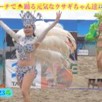 ❗️❗️超速報🤪ウニアン💥ビーチで⛱️ 踊る元気なウサギちゃん達🐰🐻‍❄️美しくなって戻って来たぁ〜🎉タチヒビーチCUP2023春👯‍♀️Unian dos Amadoris💃頑菊のやっぱりサンバ📹か