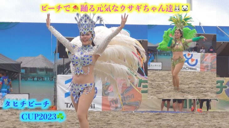 ❗️❗️超速報🤪ウニアン💥ビーチで⛱️ 踊る元気なウサギちゃん達🐰🐻‍❄️美しくなって戻って来たぁ〜🎉タチヒビーチCUP2023春👯‍♀️Unian dos Amadoris💃頑菊のやっぱりサンバ📹か