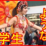 可愛い 女子大学生 ウニアン サンバ ピンクの羽 オレンジの羽 石田彩夏  2018 上智大学 Japanese young lady Samba