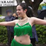 サンバパレード！　4年振りの相模原市民若葉まつり2023　東京外大TUFSブラジル研　SAMBA PARADE 2023 in SAGAMIHARA