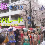 3年振り！の常盤平さくらまつり2023　サンバパレード　松戸セレージャ　TOKIWA-DAIRA CHERRY BLLOSOM FESTIVAL SAMBA PARADE by CEREJA