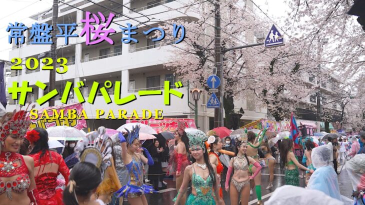 3年振り！の常盤平さくらまつり2023　サンバパレード　松戸セレージャ　TOKIWA-DAIRA CHERRY BLLOSOM FESTIVAL SAMBA PARADE by CEREJA