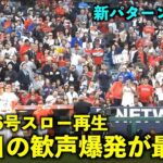 スタンドイン判定の瞬間が最高すぎる！大谷翔平 16号ホームランをスロー再生【現地映像】エンゼルスvsカブス第1戦6/7