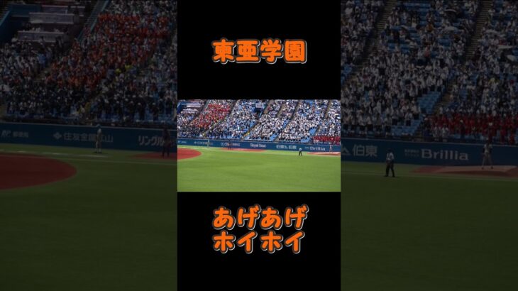 東亜学園「あげあげホイホイ（サンバデジャネイロ）」2023東東京決勝