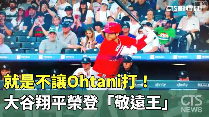 就是不讓Ohtani打！　大谷翔平榮登「敬遠王」｜華視新聞 20230731