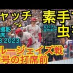 【現地撮影】39号の打席前に虫をキャッチ！大谷くん真後ろ前方席から！大谷翔平エンゼルスvsトロントブルージェイズ Ohtani 39th homer vs Blue Jays