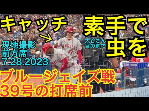 【現地撮影】39号の打席前に虫をキャッチ！大谷くん真後ろ前方席から！大谷翔平エンゼルスvsトロントブルージェイズ Ohtani 39th homer vs Blue Jays