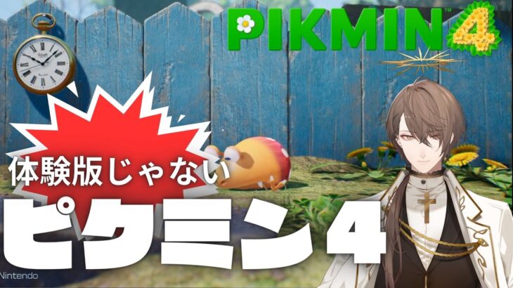 【Pikmin 4 (ピクミン４)】小さきいのち、最新作! キラキラを集めて参ります!! 【にじさんじ/加賀美ハヤト】