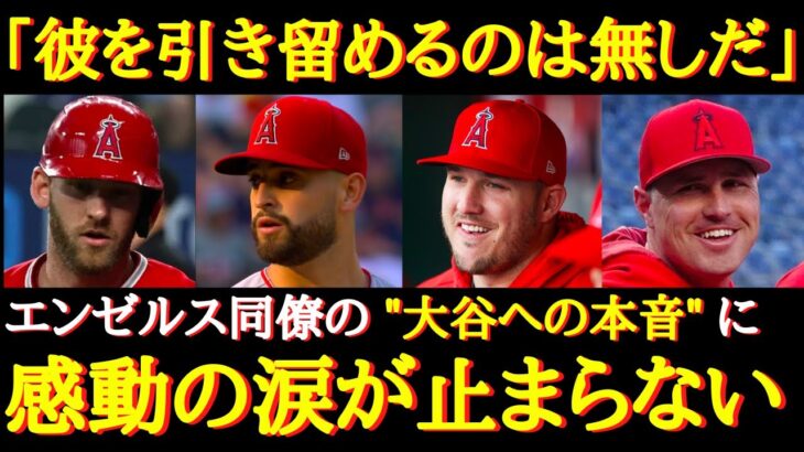 「彼はMLBの宝だ」エンゼルスチームメイトが本音で語る大谷翔平への想いとは【海外の反応】