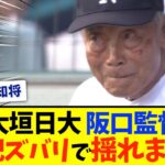 【甲子園】揺れまくる大垣日大・阪口監督