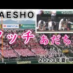 『チャンテの“タッチ”あだち充さん母校 前橋商業』甲子園の土を持ち帰る 2023年8月8日