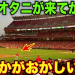 大谷翔平の影響がヤバ過ぎる！ロサンゼルス民が驚愕する事態とは！！？「オオタニが来てからおかしくなった」【総集編】