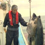 日本一の大間のマグロが衝撃的大きさだった・・・