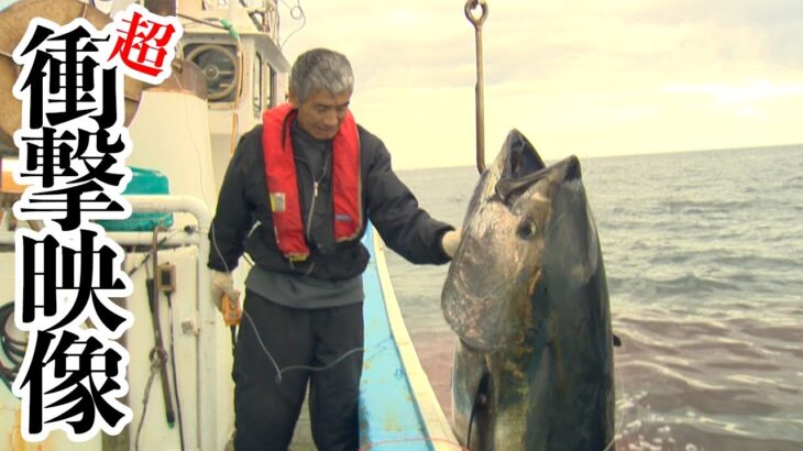 日本一の大間のマグロが衝撃的大きさだった・・・