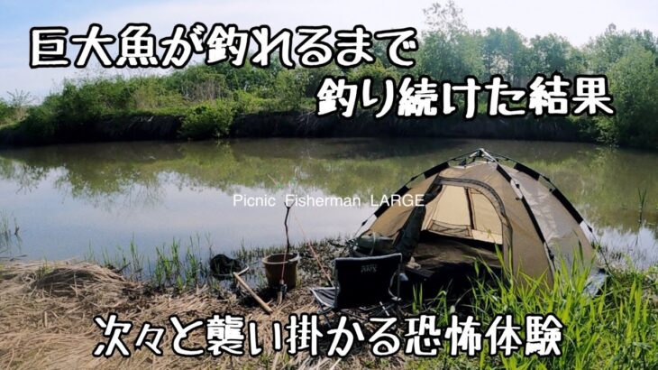 【釣りキャンプ】遂にぬし交代！巨大魚を庭池に放す！川でキャンプ飯