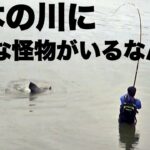 【奇跡】“数年かけても釣れない”という、幻の巨大魚との出会い。釣りは本当に素晴らしい趣味だと思う。