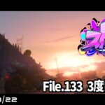 File.133「3度目の正直」 #ストグラ #葛城司 【 GTA5 】