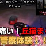 【ストグラ】心が痛い！丘猫まる涙の警察体験！！/宙星ぱるちゃん切り抜き