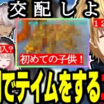 【VCRARK】配信外の葛葉と交配/５時間かけシャドウメインのテイムをするエビオ/初めてのレイド/産婦人科のヒム【エビオ/葛葉/切り抜き/スト鯖】