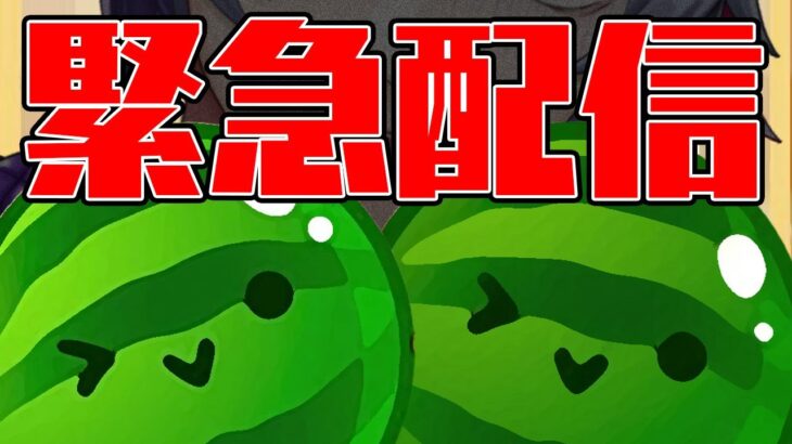 【スイカゲーム】ダブルスイカ完成するかも緊急配信【不破湊/にじさんじ 】