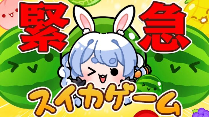 【緊急】【スイカゲーム】やばいやばいやばいやばいやばいやばいやばい【ホロライブ/兎田ぺこら】【ヤバい】