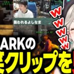 スト鯖ARKの爆笑クリップにツボる小森めとｗｗｗ【VCR ARK/切り抜き/ぶいすぽっ！】