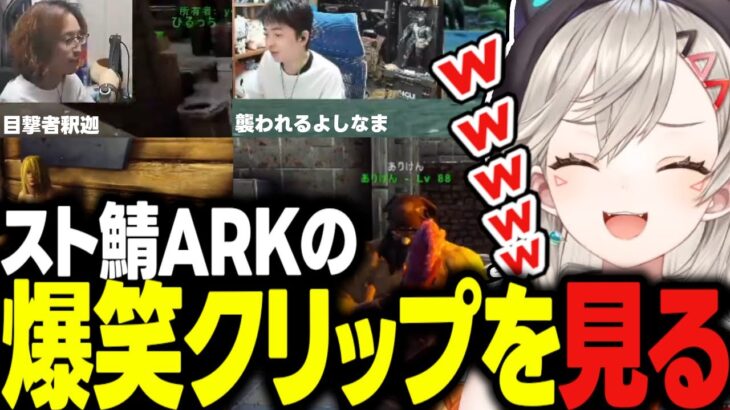 スト鯖ARKの爆笑クリップにツボる小森めとｗｗｗ【VCR ARK/切り抜き/ぶいすぽっ！】