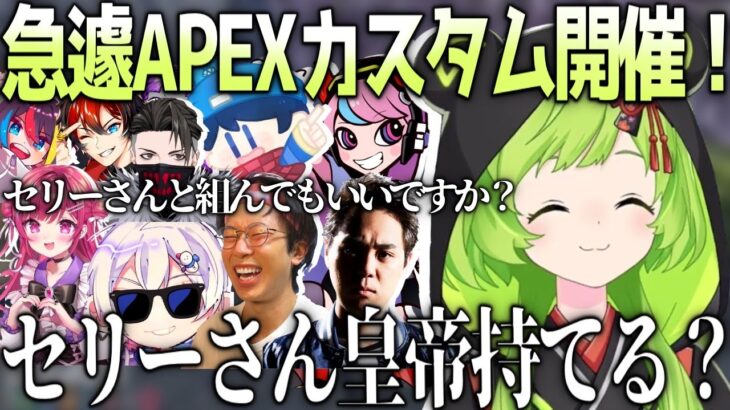 【ストグラ】急遽始まるSellyのAPEXカスタム！【ななしいんく/日ノ隈らん】