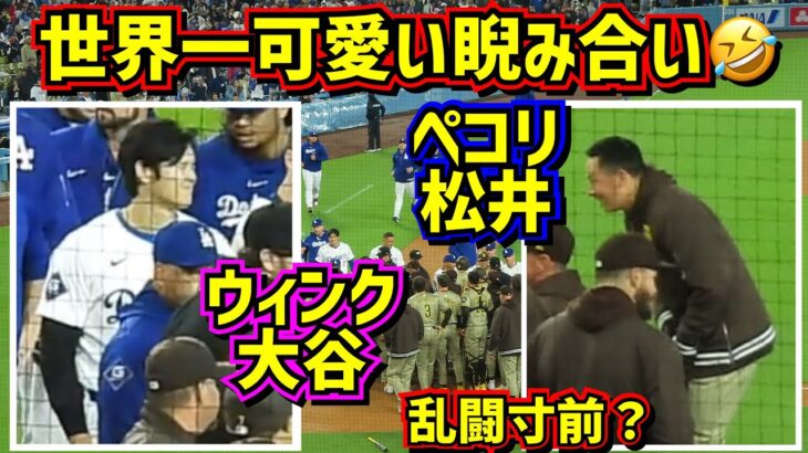 目撃‼️可愛過ぎる睨み合い🤣乱闘寸前の場面で松井裕樹の挨拶に大谷翔平がウィンク🤩【現地映像】4/13vsパドレス ShoheiOhtani Dodgers